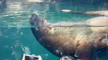 環境水族館アクアマリンふくしまに投稿された画像（2023/5/4）