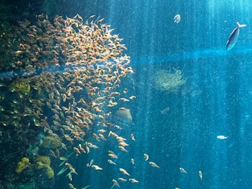 環境水族館アクアマリンふくしまに投稿された画像（2023/5/4）