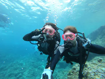 武藤潜水に投稿された画像（2023/5/4）