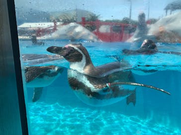 南知多ビーチランド＆南知多おもちゃ王国に投稿された画像（2023/5/4）