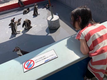 南知多ビーチランド＆南知多おもちゃ王国に投稿された画像（2023/5/4）