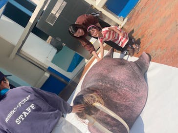 南知多ビーチランド＆南知多おもちゃ王国に投稿された画像（2023/5/4）