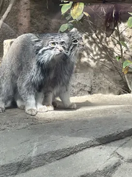 神戸どうぶつ王国に投稿された画像（2023/5/4）