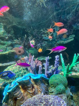 サンシャイン水族館に投稿された画像（2023/5/4）