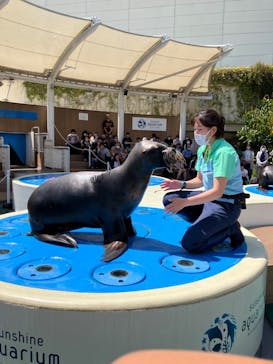 サンシャイン水族館に投稿された画像（2023/5/4）