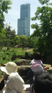 天王寺動物園に投稿された画像（2023/5/4）