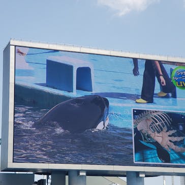 名古屋港水族館に投稿された画像（2023/5/4）