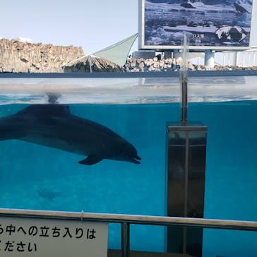 名古屋港水族館に投稿された画像（2023/5/4）