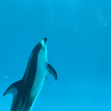 名古屋港水族館に投稿された画像（2023/5/4）