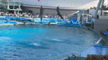 名古屋港水族館に投稿された画像（2023/5/4）