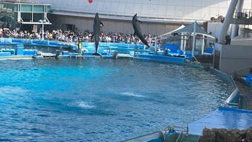 名古屋港水族館に投稿された画像（2023/5/4）