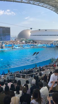 名古屋港水族館に投稿された画像（2023/5/4）