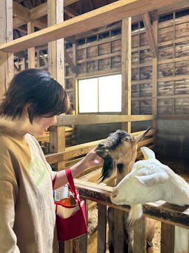 まかいの牧場に投稿された画像（2023/5/4）