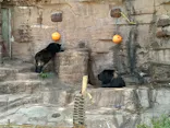 天王寺動物園に投稿された画像（2023/5/4）