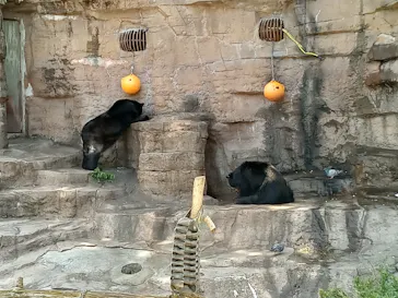 天王寺動物園に投稿された画像（2023/5/4）