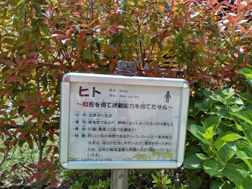 天王寺動物園に投稿された画像（2023/5/4）