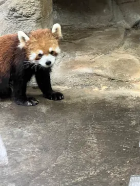 天王寺動物園に投稿された画像（2023/5/4）