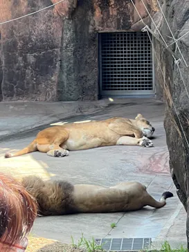 天王寺動物園に投稿された画像（2023/5/4）
