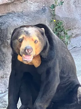 天王寺動物園に投稿された画像（2023/5/4）