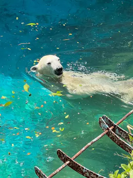 天王寺動物園に投稿された画像（2023/5/4）