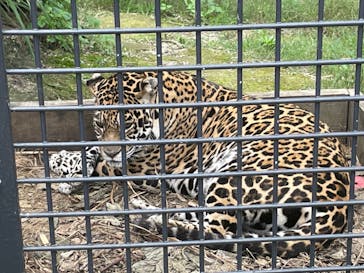 沖縄こどもの国に投稿された画像（2023/5/4）