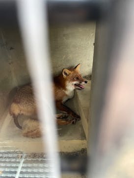 沖縄こどもの国に投稿された画像（2023/5/4）