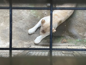 沖縄こどもの国に投稿された画像（2023/5/4）