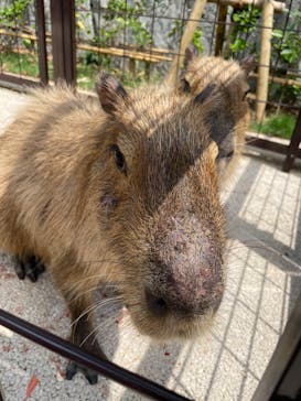 沖縄こどもの国に投稿された画像（2023/5/4）