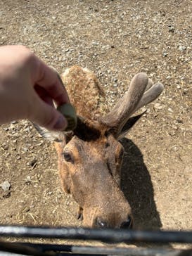 那須サファリパークに投稿された画像（2023/5/4）