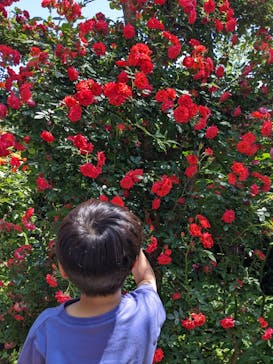 横浜イングリッシュガーデンに投稿された画像（2023/5/4）