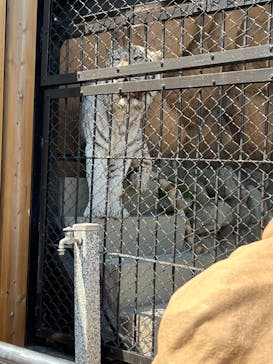 東武動物公園に投稿された画像（2023/5/4）