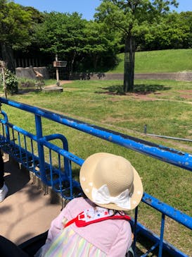 千葉市動物公園に投稿された画像（2023/5/4）