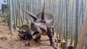 みろくの里に投稿された画像（2023/5/4）