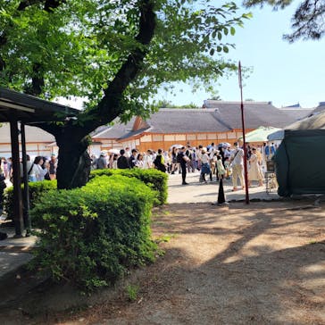 名古屋城に投稿された画像（2023/5/4）