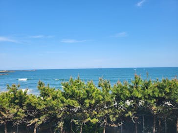 アクアワールド茨城県大洗水族館に投稿された画像（2023/5/4）