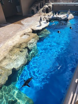 アクアワールド茨城県大洗水族館に投稿された画像（2023/5/4）