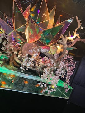 NARA KINGYO MUSEUMに投稿された画像（2023/5/4）