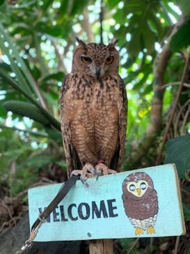 伊豆シャボテン動物公園に投稿された画像（2023/5/4）