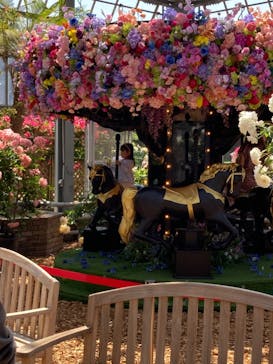 京成バラ園に投稿された画像（2023/5/4）