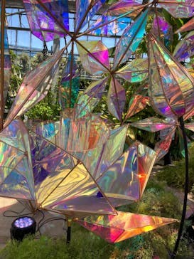 京成バラ園に投稿された画像（2023/5/4）