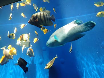 環境水族館アクアマリンふくしまに投稿された画像（2023/5/4）