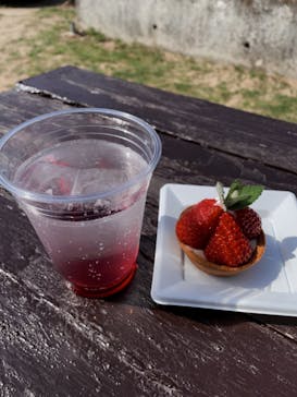 野外民族博物館 リトルワールドに投稿された画像（2023/5/4）