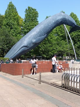 国立科学博物館に投稿された画像（2023/5/4）