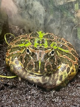 サンシャイン水族館に投稿された画像（2023/5/4）