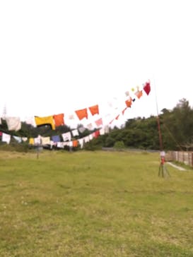 ネオパークオキナワに投稿された画像（2023/5/4）