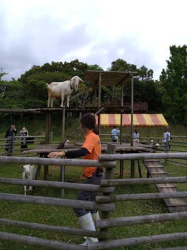 ネオパークオキナワに投稿された画像（2023/5/4）