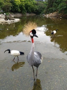 ネオパークオキナワに投稿された画像（2023/5/4）