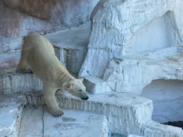 天王寺動物園に投稿された画像（2023/5/4）