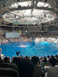 マクセル アクアパーク品川に投稿された画像（2023/5/4）