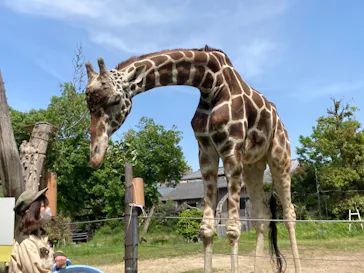 天王寺動物園に投稿された画像（2023/5/4）
